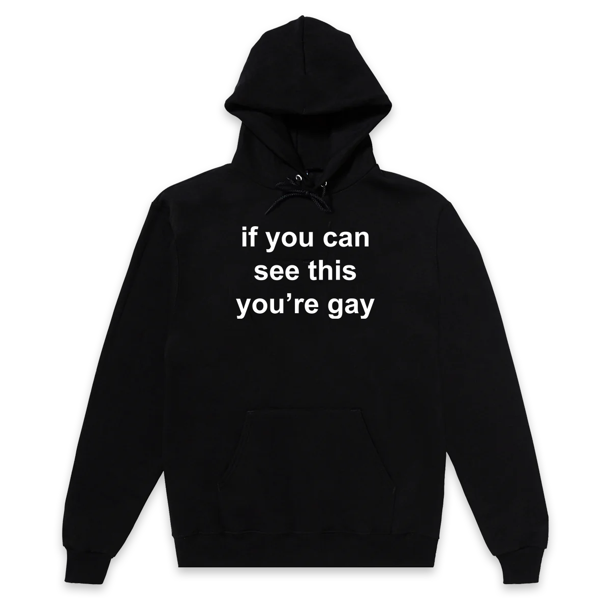 If You Can See This You're Gay HOODIE