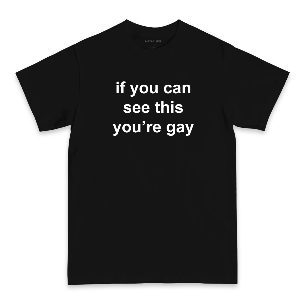 If You Can See This You're Gay T-shirt