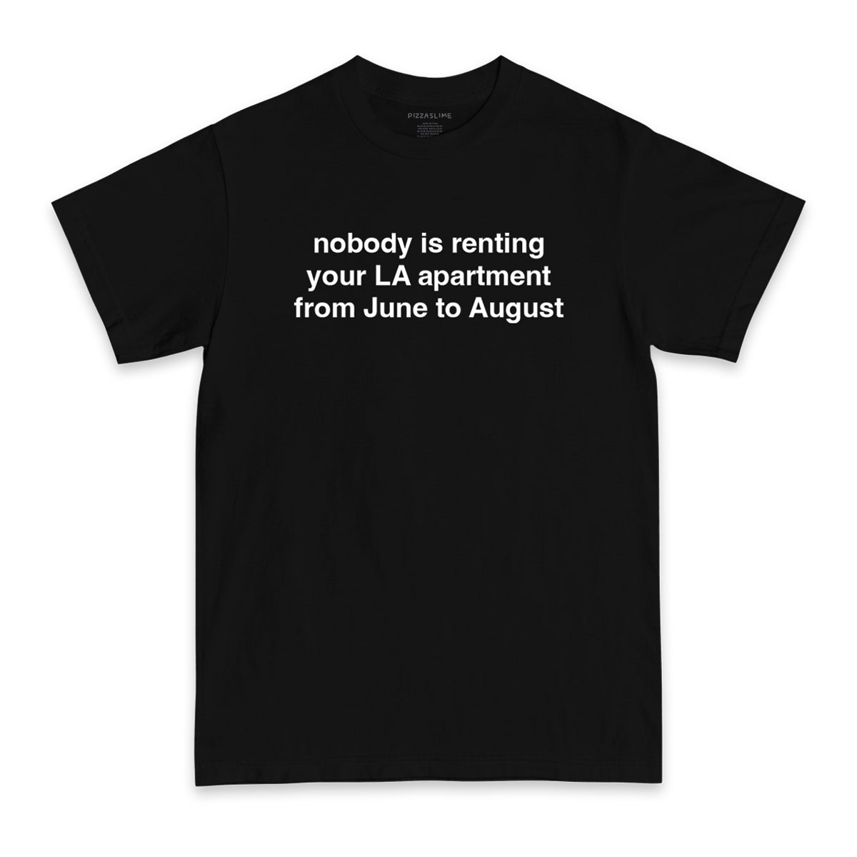 Nobody is Renting Your LA Apt T-shirt