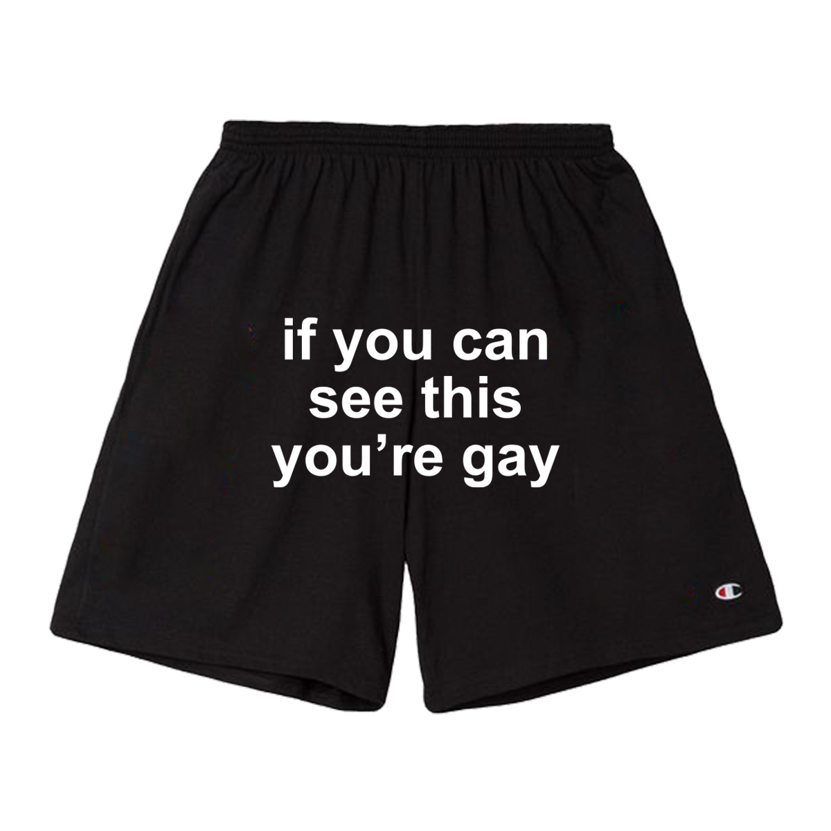 If You Can See This You're Gay Shorts