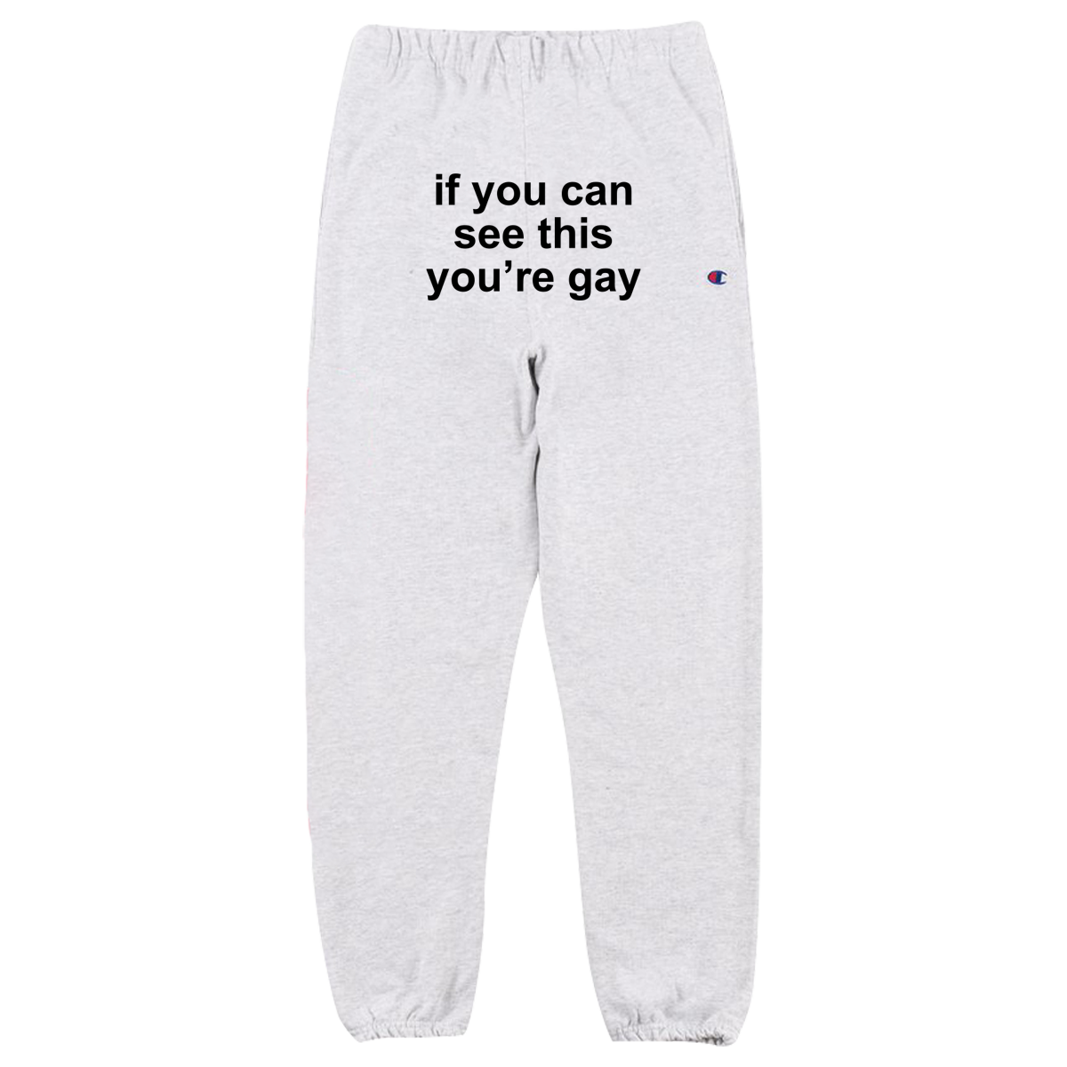 If You Can See This You're Gay Sweatpants (Silver Grey)